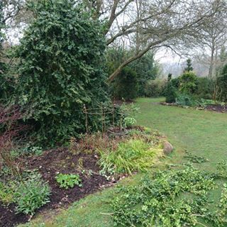 Invisible Topiary Pruning