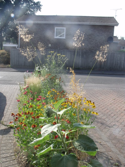 tiny front garden