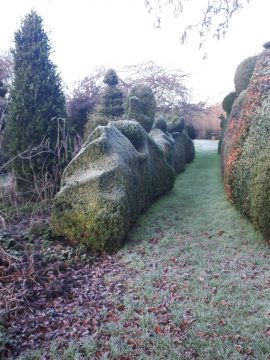 organic topiary snow