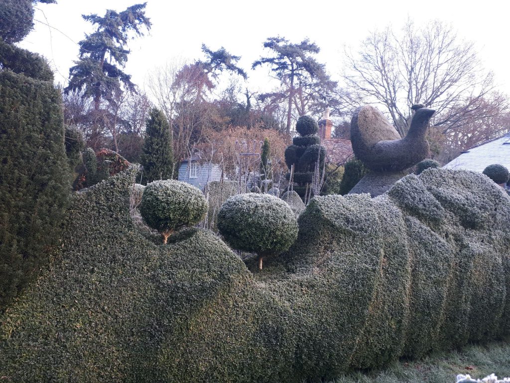 snow topiary