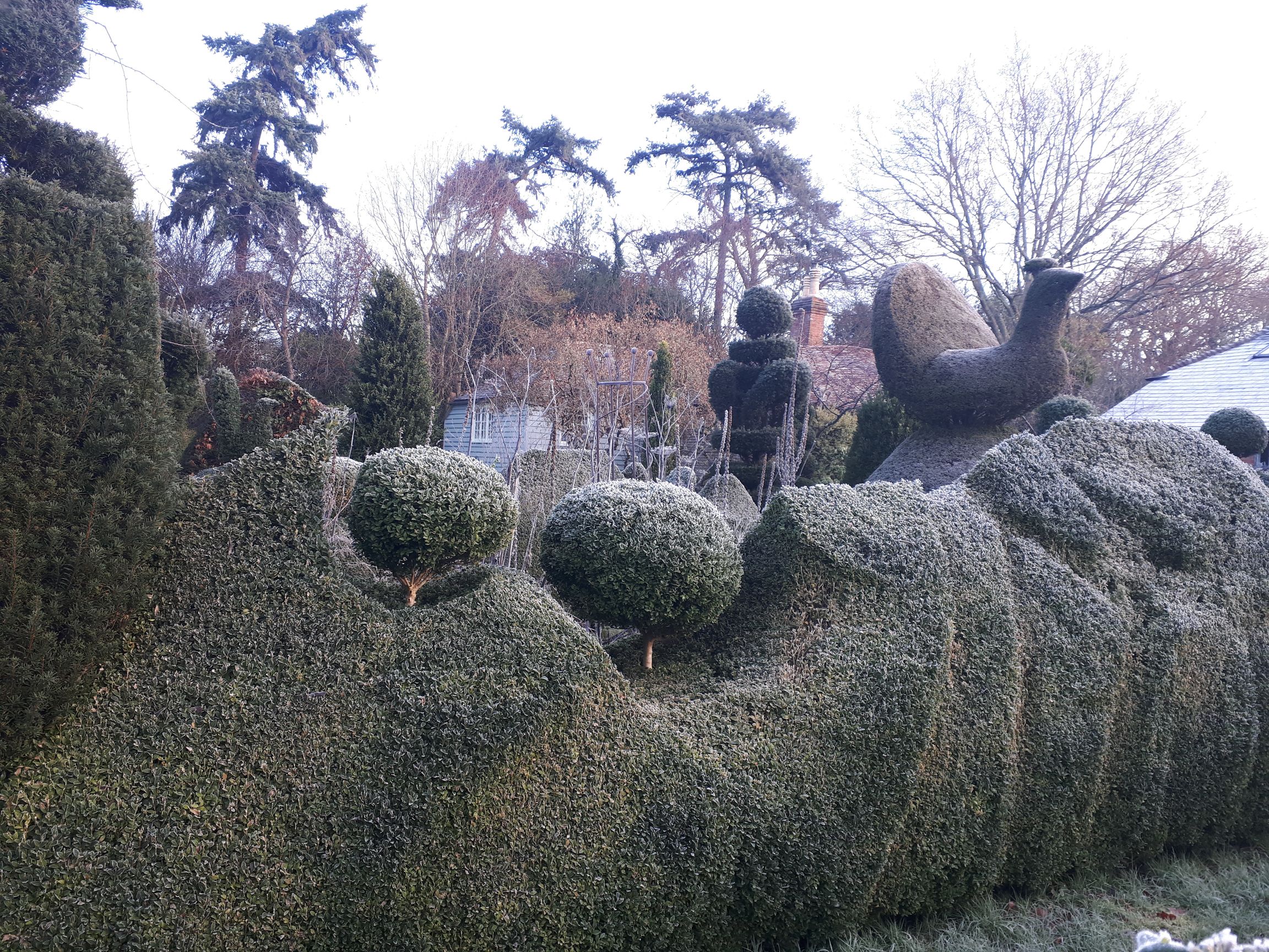 snow topiary