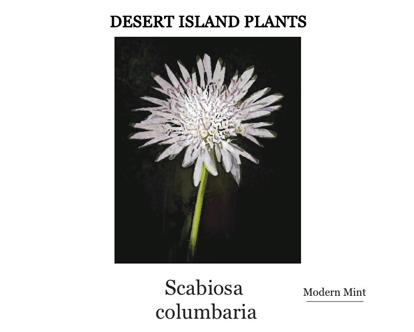 Desert Island Plants