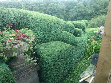 Topiary Make