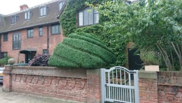 topiary swirl