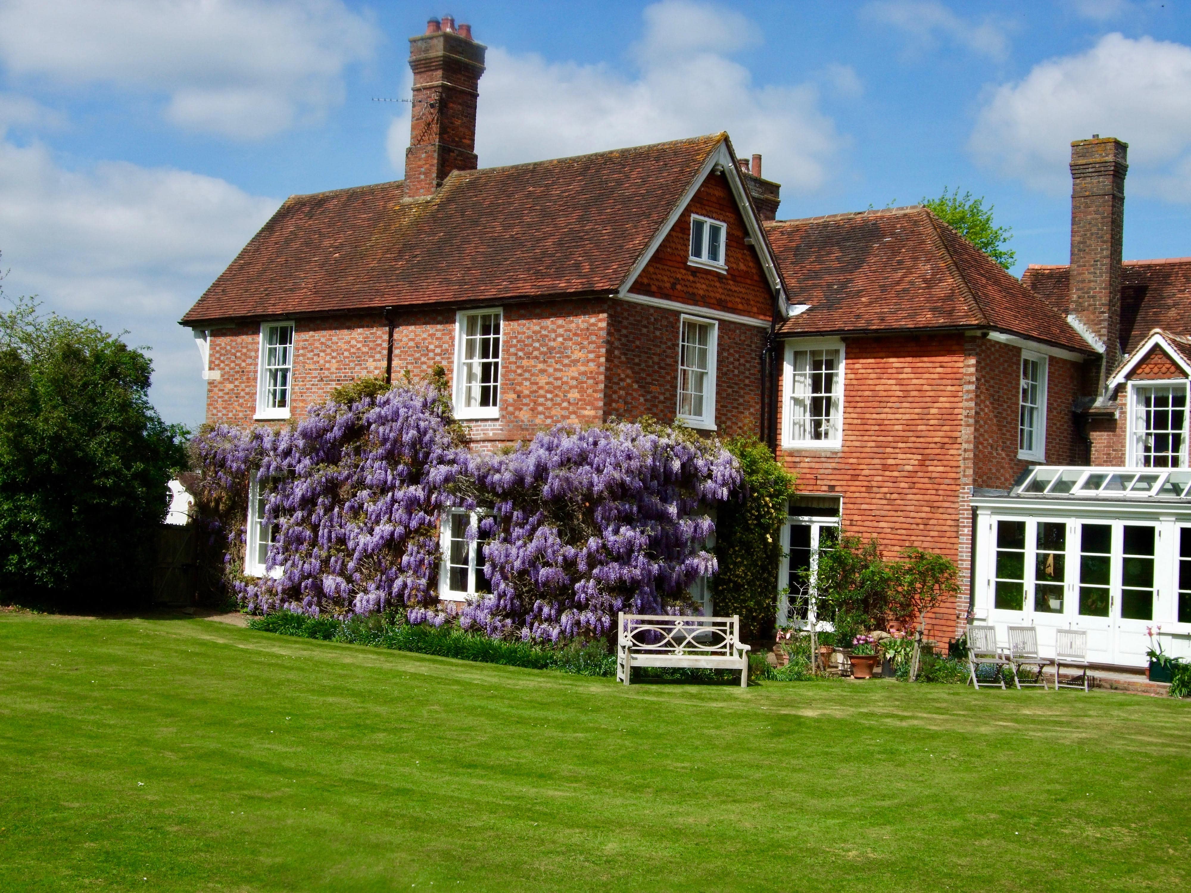 wisteria pruning from winter