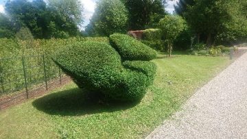 topiary design duck