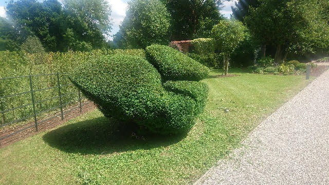 topiary tree